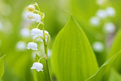 设计师暗示《战争机器6》或将于2024年公布